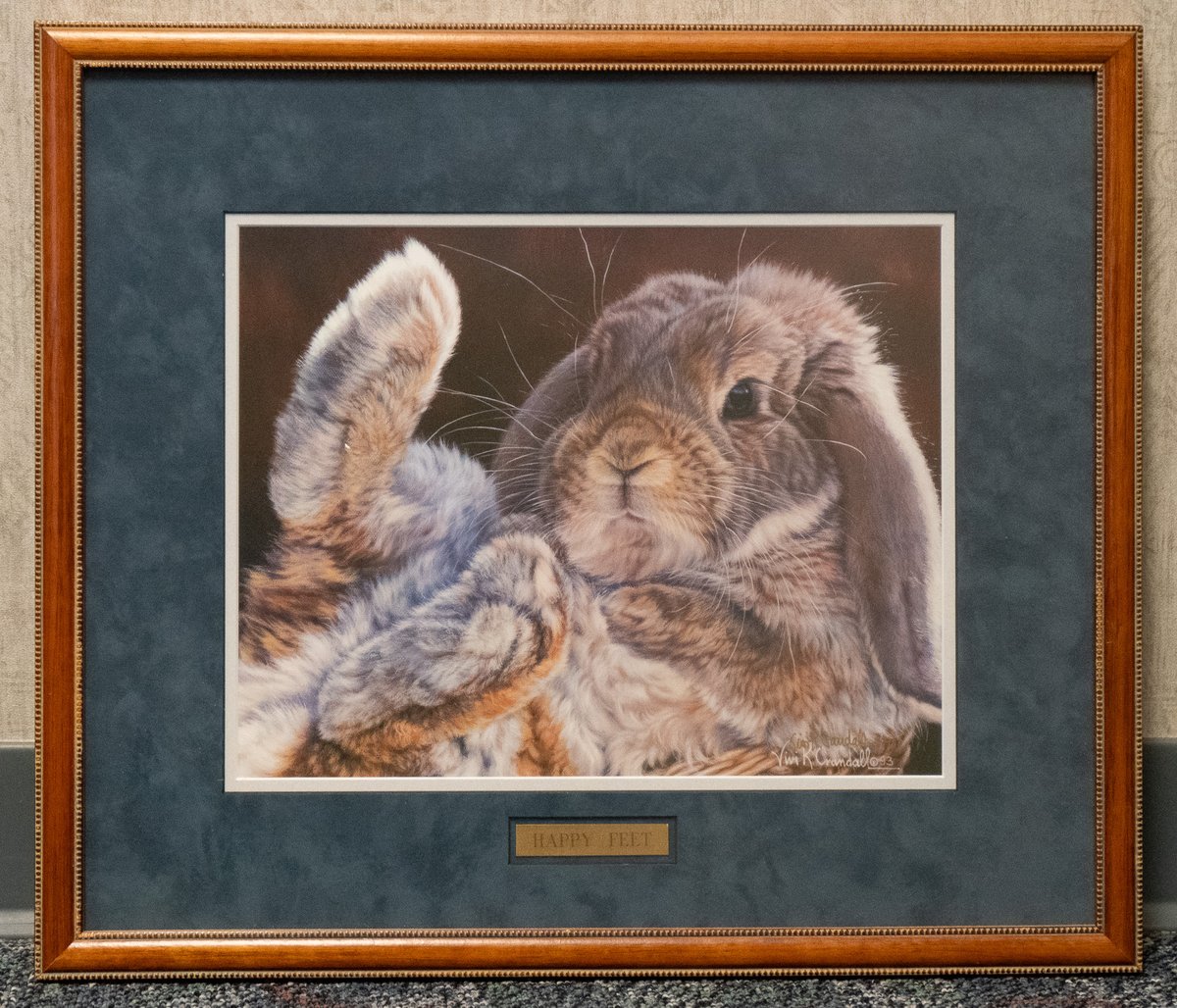 Happy Feet framed print by Vivi K. Crandall – Auction – Art for