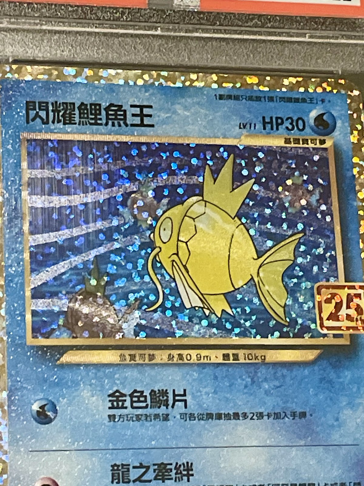 2021 Pokemon Shining Magikarp 010 and Dark Gyarados 005 Chinese