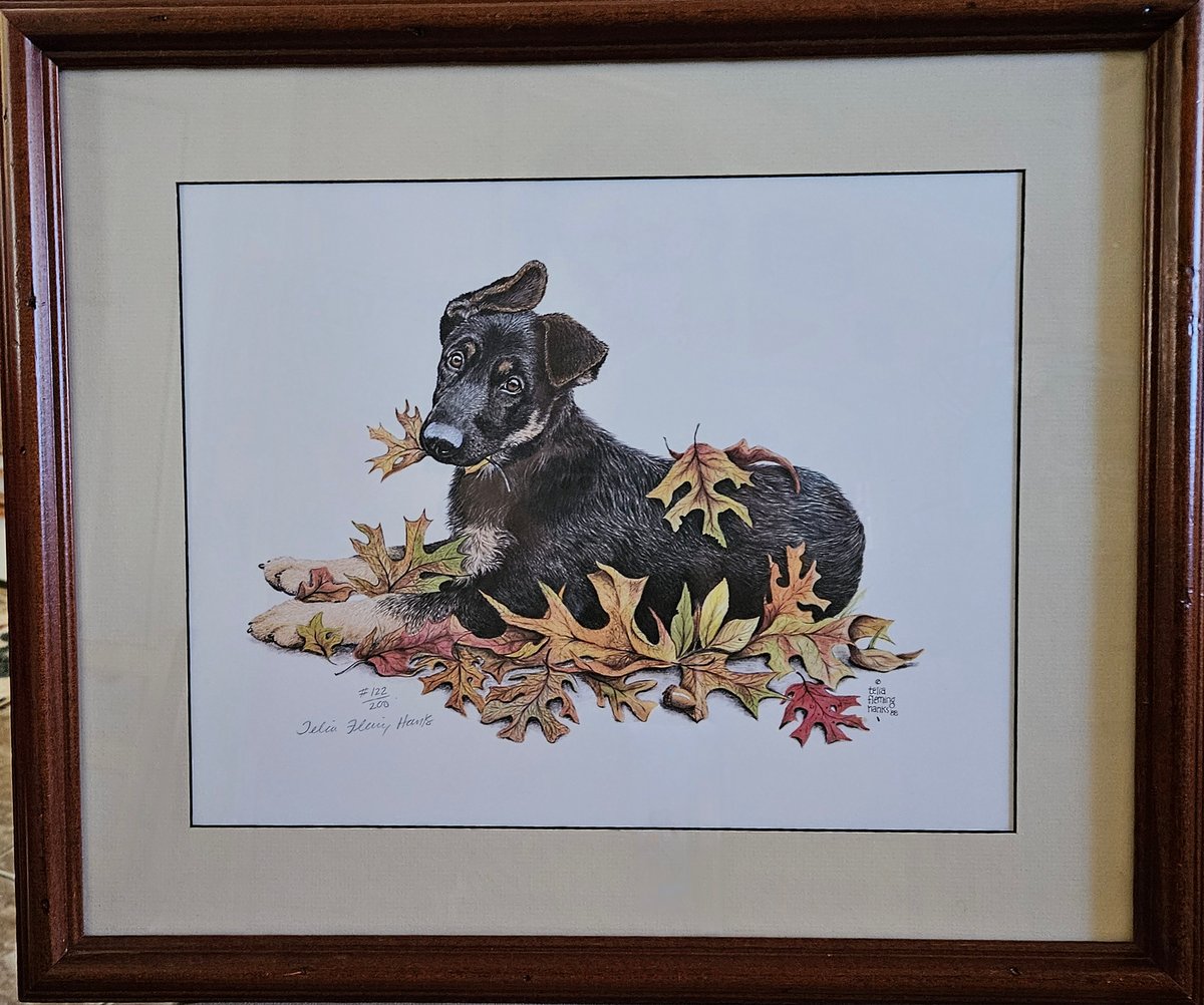LIMITED EDITION FRAMED GERMAN SHEPHERD PUPPY PORTRAITS IN 4