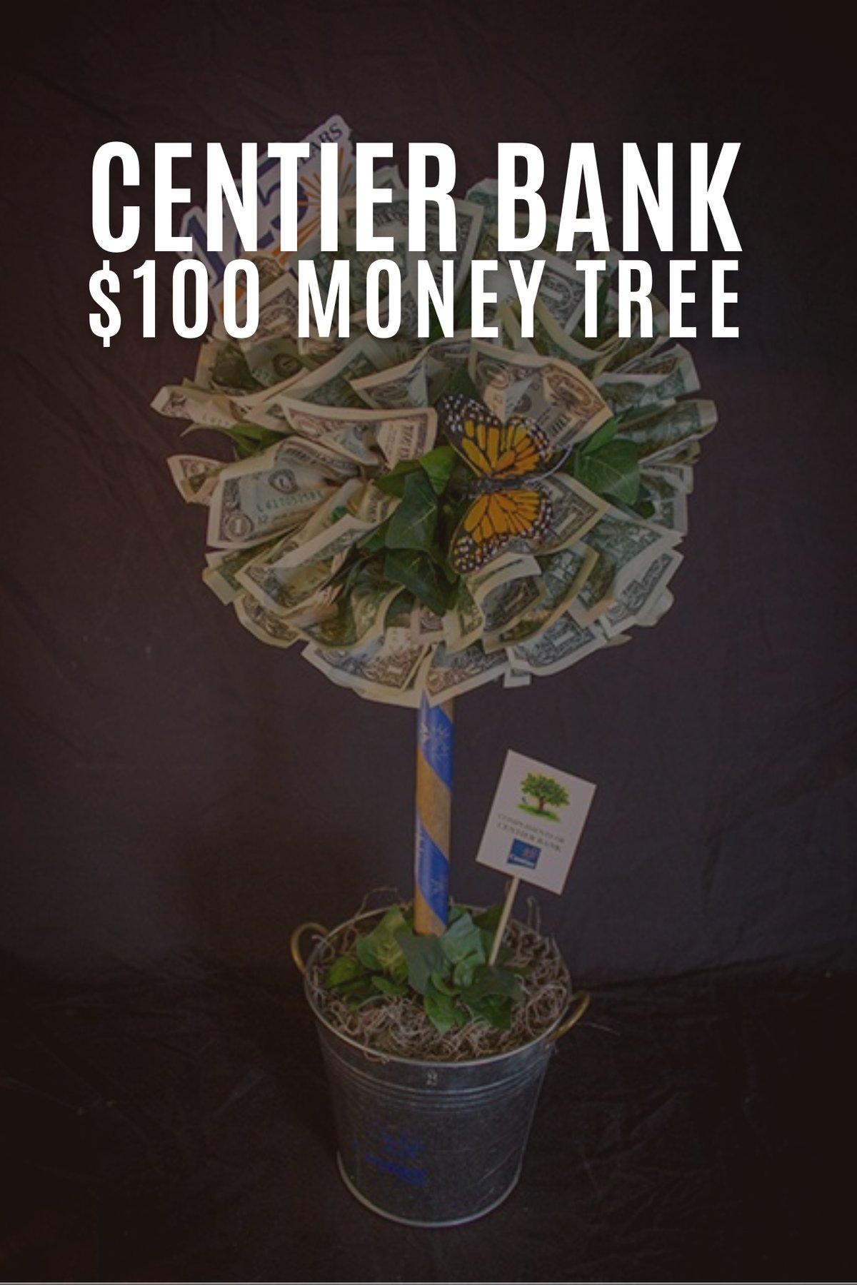 fan for indoor succulents Your Biggest Fan (Aloe)  Flower Bar